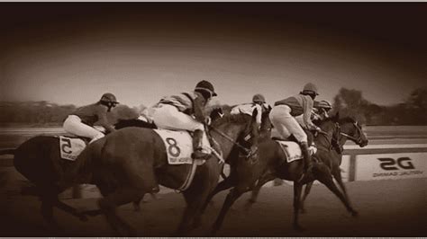 gg horses